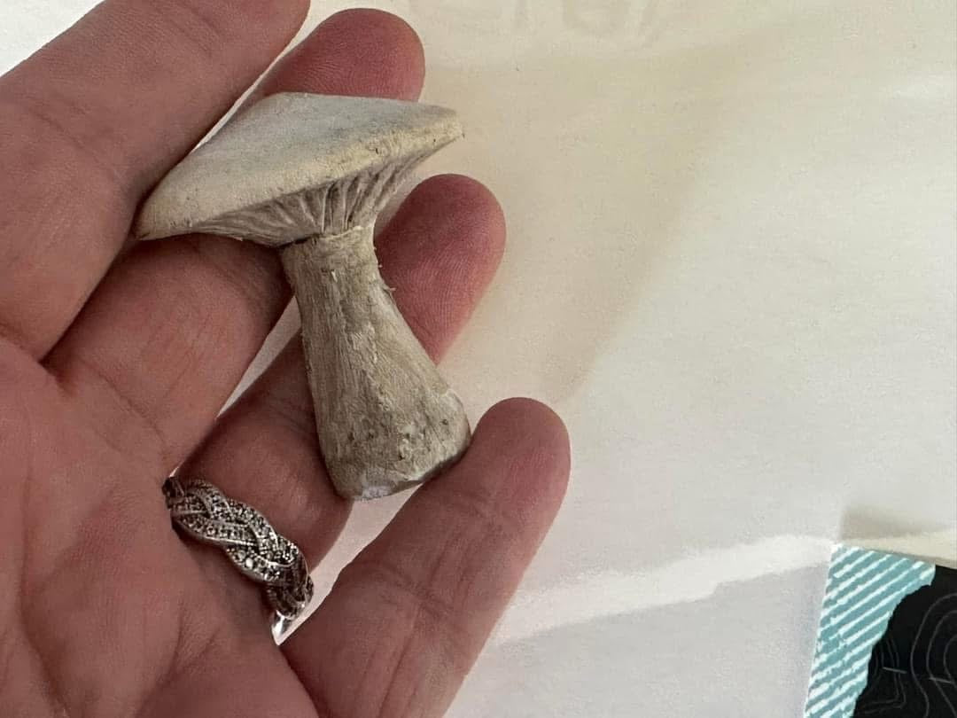 Hand carved mushroom magnet set