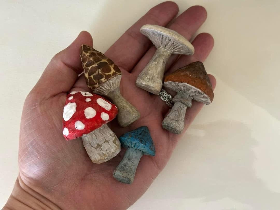 Hand carved mushroom magnet set
