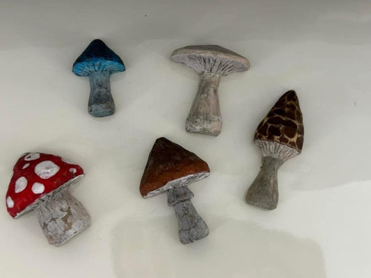 Hand carved mushroom magnet set
