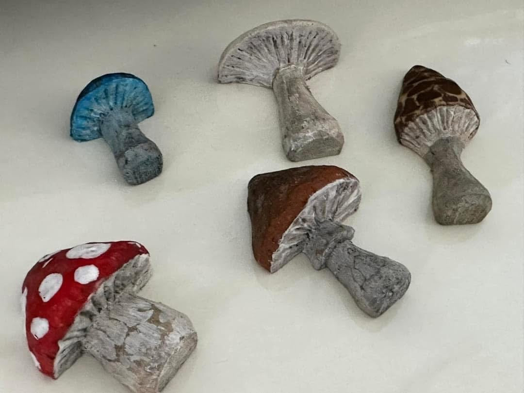Hand carved mushroom magnet set