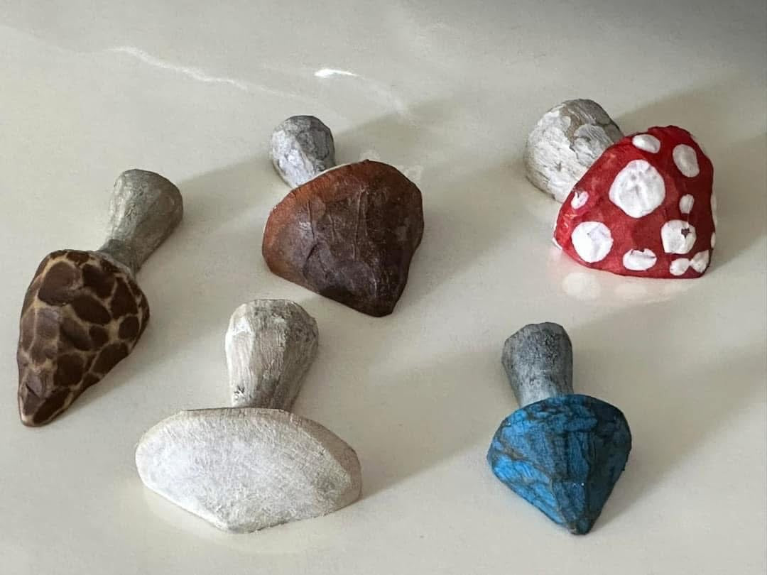 Hand carved mushroom magnet set