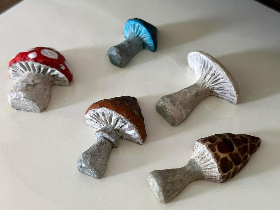 Hand carved mushroom magnet set