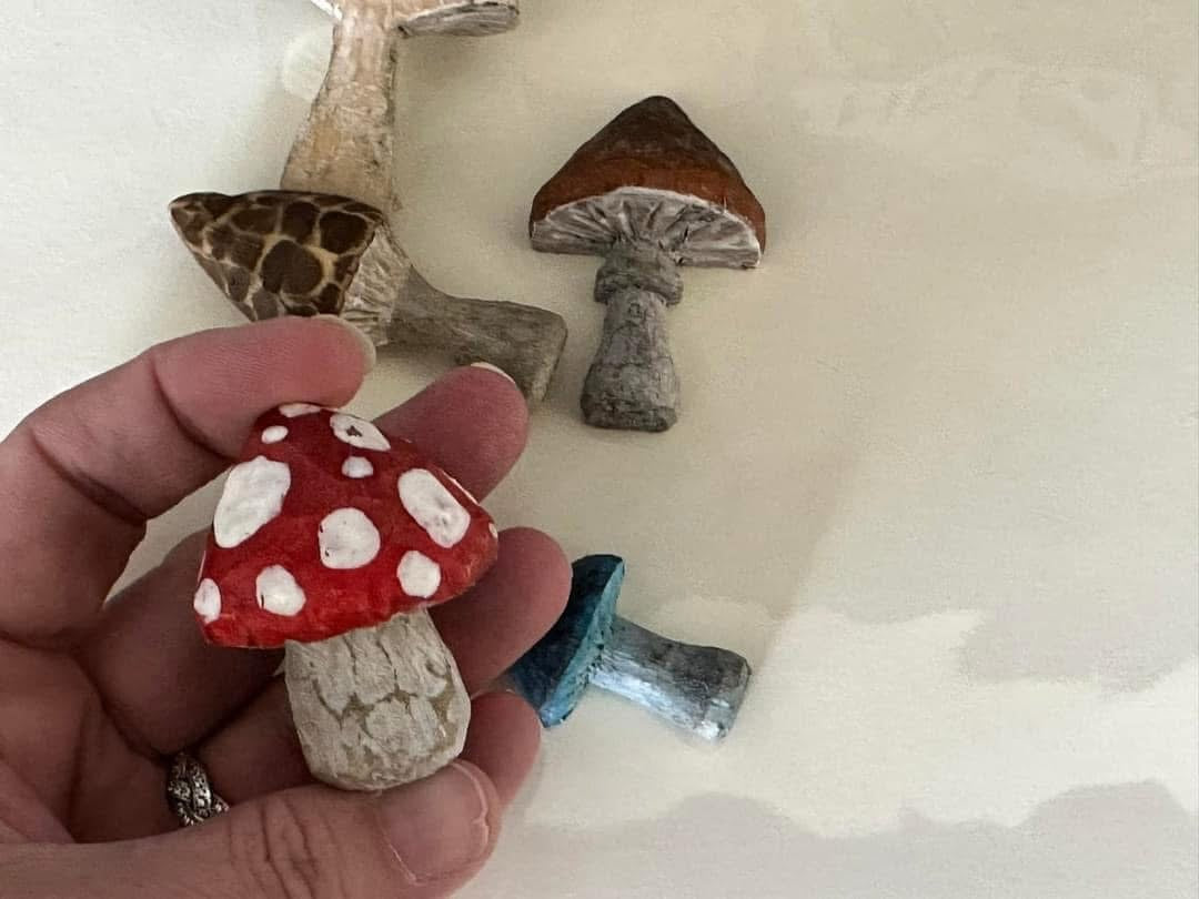 Hand carved mushroom magnet set