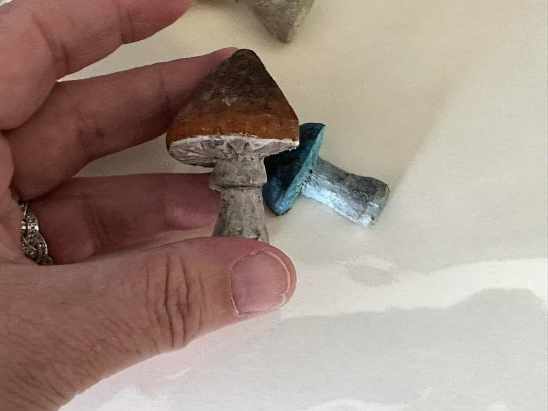 Hand carved mushroom magnet set