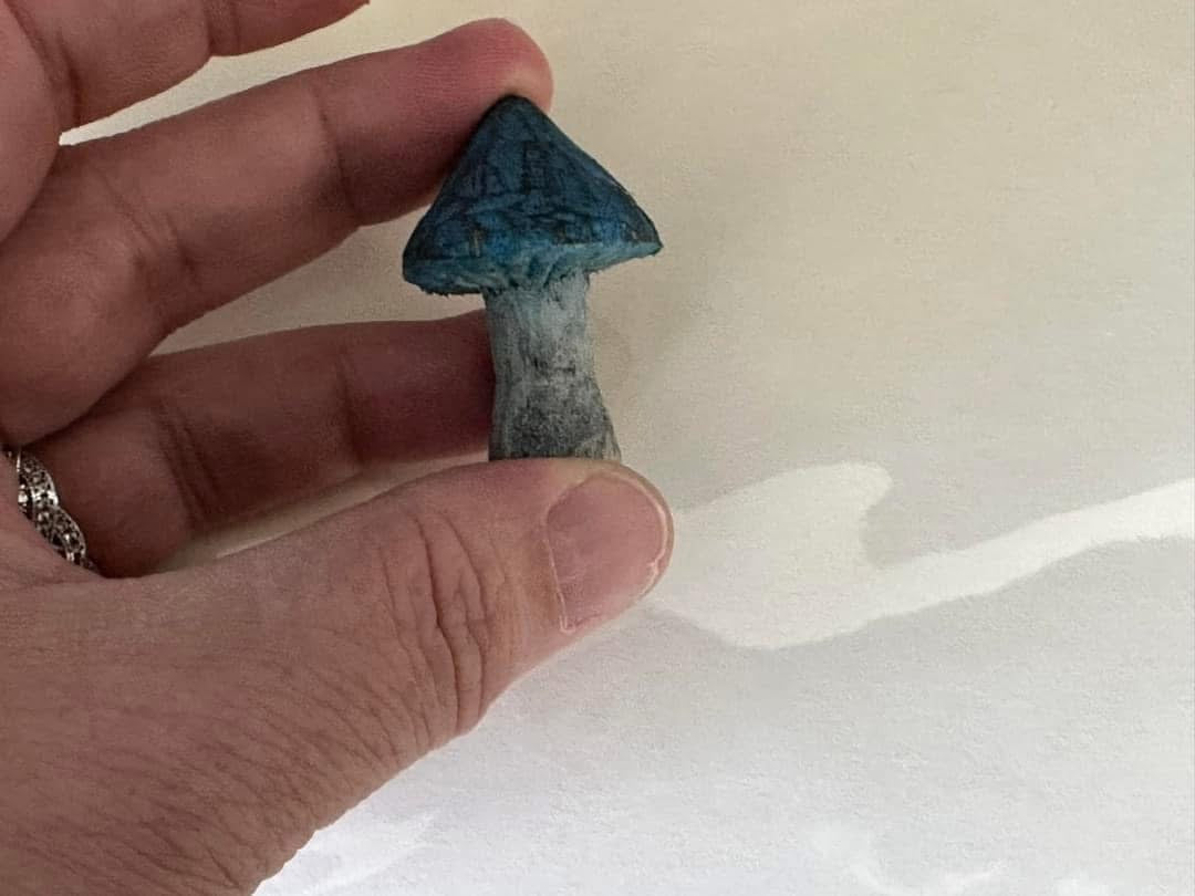 Hand carved mushroom magnet set